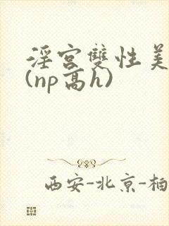 淫宫双性美人录(np高h)