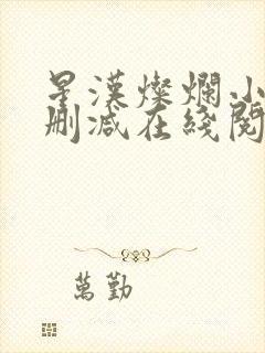 星汉灿烂小说无删减在线阅读