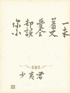 你却爱着一个他小说全文未删减免费