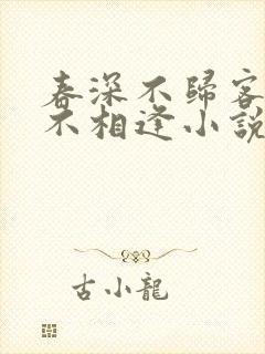 春深不归客清梦不相逢小说免费阅读