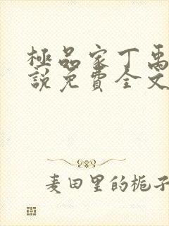 极品家丁禹岩小说免费全文阅读