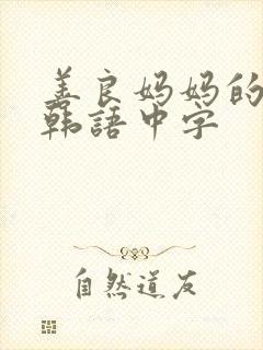 善良妈妈的朋友韩语中字