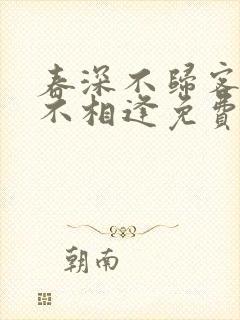 春深不归客清梦不相逢免费阅读全文