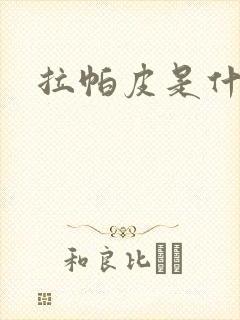 拉帕皮是什么皮封面