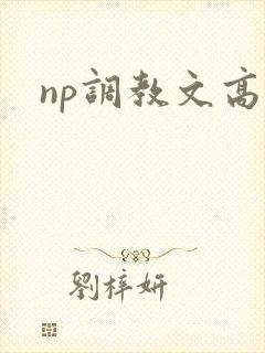 np调教文高h