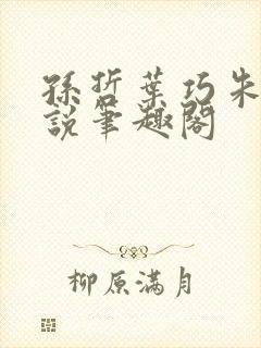 孙哲叶巧朱颜小说笔趣阁