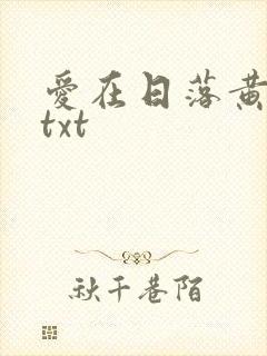 爱在日落黄昏时txt