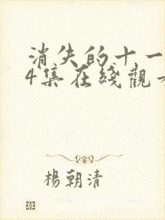 消失的十一层24集在线观看