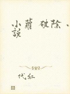 小萝 破除 小说
