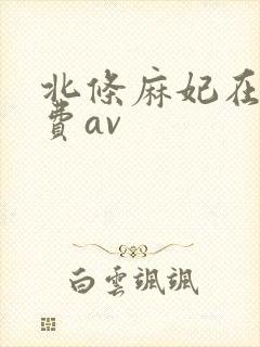 北条麻妃在线免费av