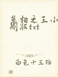 万相之王小说未删版txt