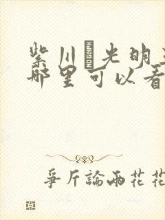 紫川·光明三杰哪里可以看完整版