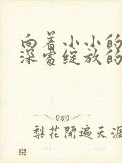 向着小小的花蕾深处绽放的花