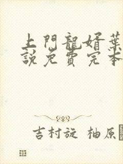 上门龙婿叶辰小说免费完本