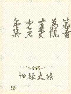 年少有为第10集免费观看