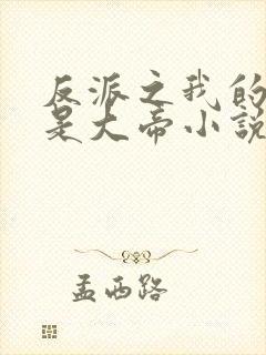 反派之我的母亲是大帝小说