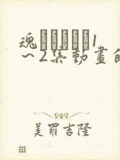 魂インサート1～2集动画的免费观看