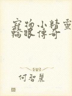 宠物小精灵之写轮眼传奇封面