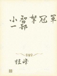 小智拿冠军是哪一部