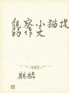 观察小猫捉老鼠的作文