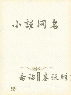小说网名