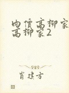 肉价高柳家肉嫁高柳家2