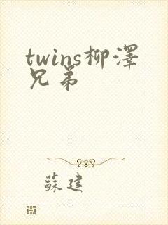 twins柳泽兄弟