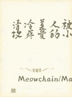 清冷美人被丑老攻疼爱的小说