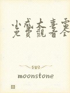 小成大事电视剧免费观看全集高清