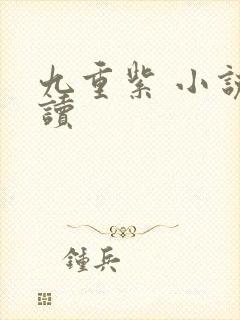 九重紫 小说阅读