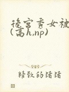 后宫秀女被调教(高h,np)