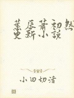 叶辰萧初然最快更新小说