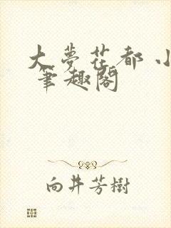 大梦花都 小说 笔趣阁