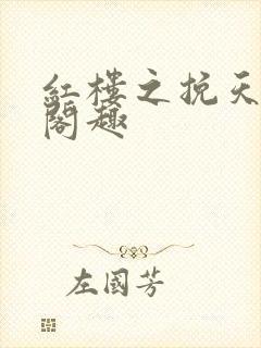 红楼之挽天倾笔阁趣