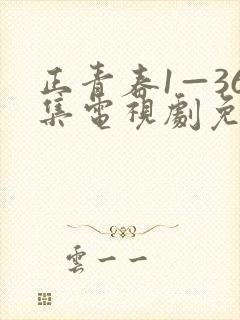 正青春1—36集电视剧免费观看36集封面