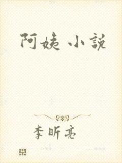 阿姨 小说