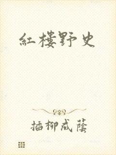 红楼野史封面