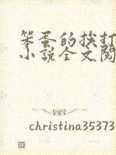 笨蛋的挨打日常小说全文阅读免费