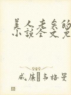 美人老矣的原著小说全文免费阅读封面