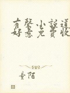 有声小说道士不好惹免费收听