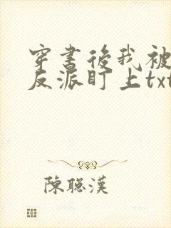 穿书后我被疯批反派盯上txt