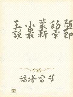 王小蒙的堕落小说最新章节更新时间