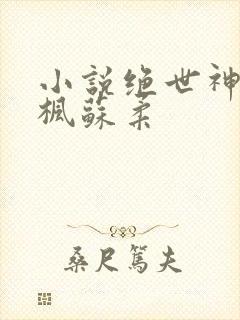 小说绝世神皇楚枫苏柔