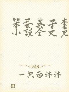 笨蛋英子李力雄小说全文免费阅读无