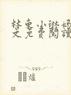 林东小琳妈妈全文免费阅读小说封面