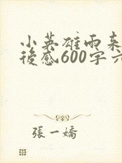 小英雄雨来的读后感600字六年级