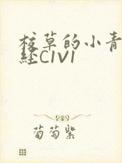 校草的小青梅不经C1V1封面