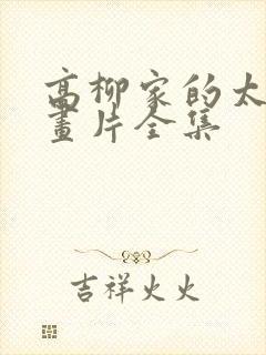 高柳家的太太动画片全集