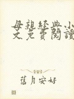 母亲经典小说全文免费阅读封面