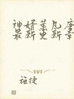 神婿叶凡唐若雪最新更新章节